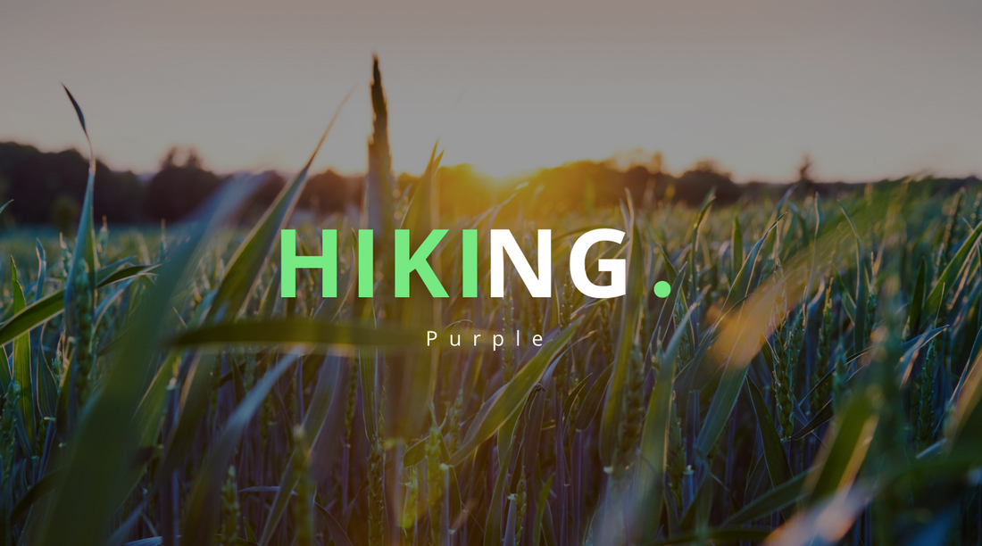 Une Exploration naturelle avec style"HIKING PURPLE"